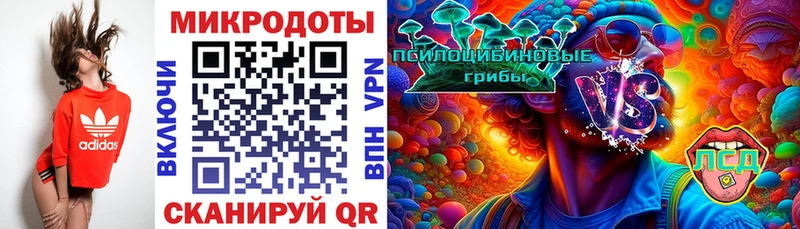 Псилоцибиновые грибы прущие грибы  где купить наркотик  Пласт 