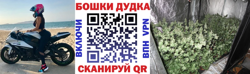 Каннабис Amnesia  блэк спрут ONION  Пласт 